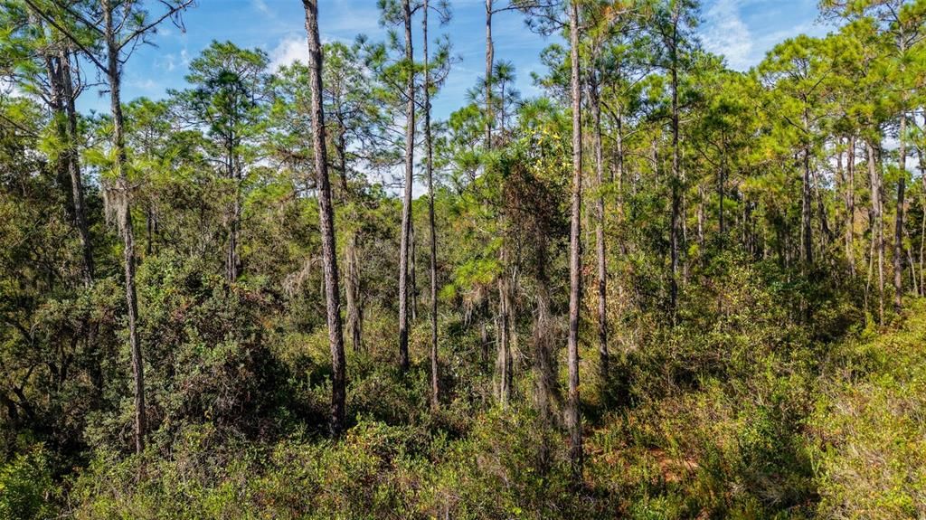 На продажу: $299,000 (29.99 acres)