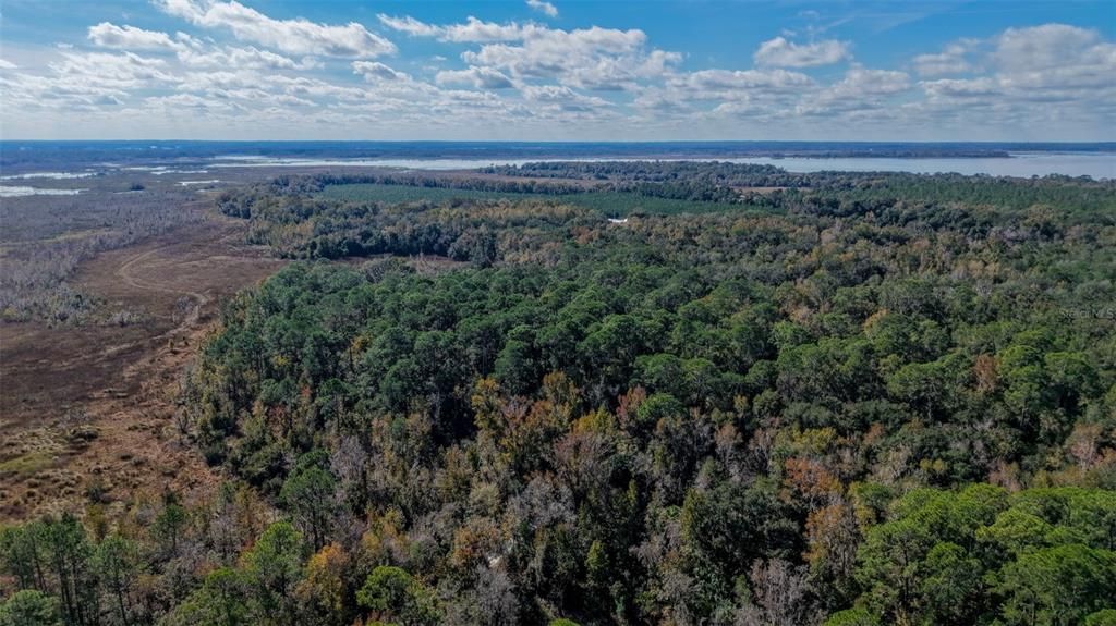 На продажу: $299,000 (29.99 acres)