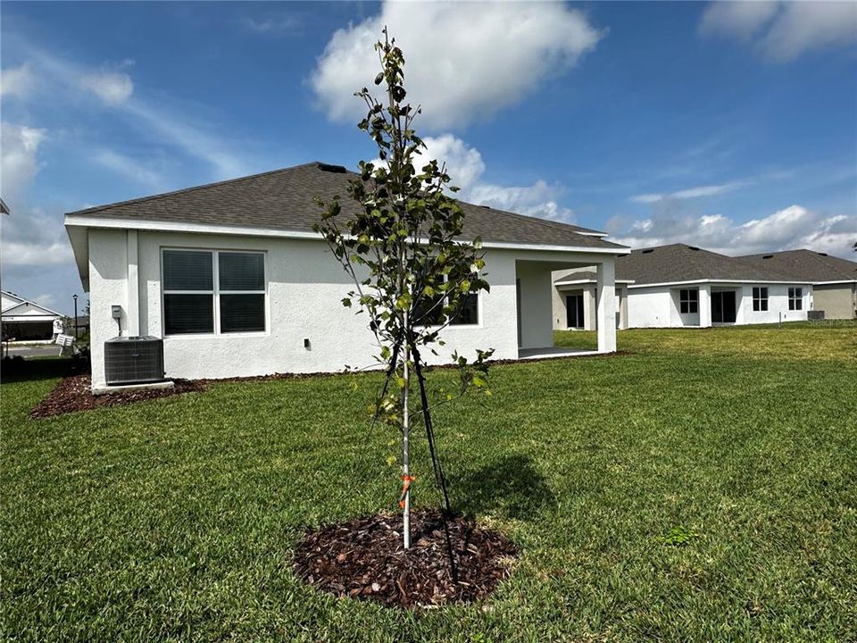 For Rent: $2,900 (4 beds, 2 baths, 1828 Square Feet)