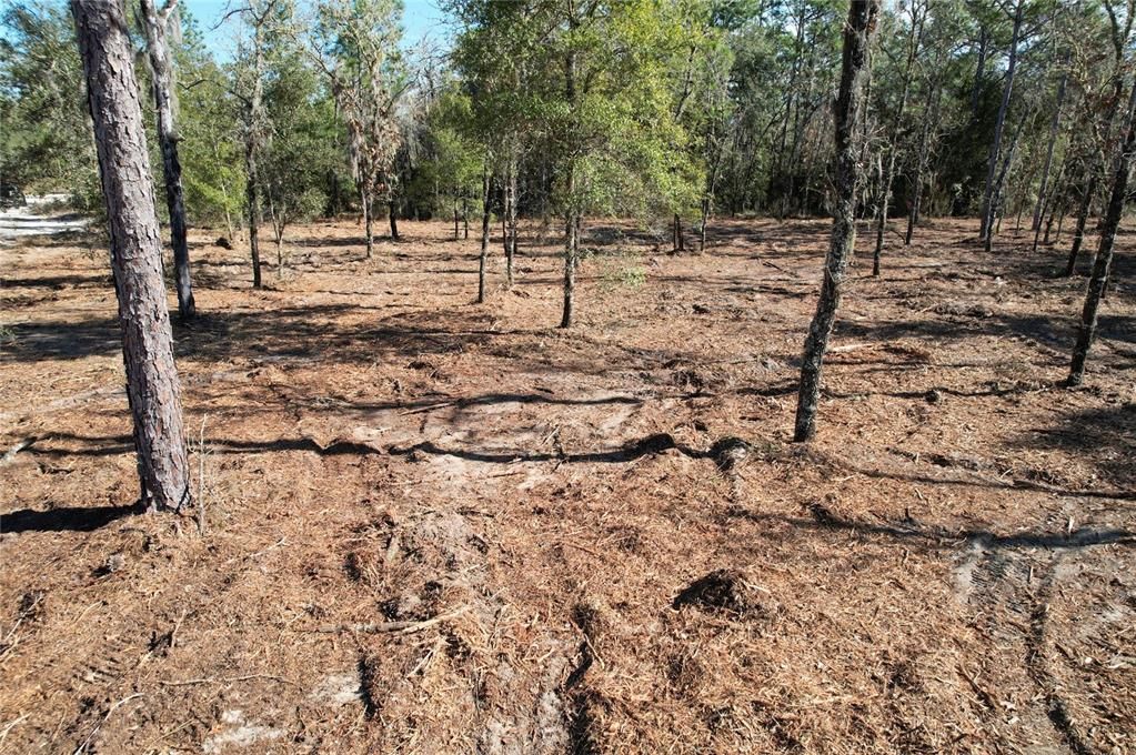 待售: $82,000 (5.04 acres)