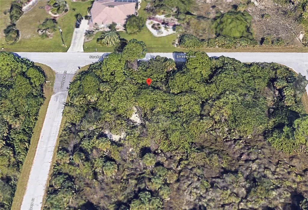 For Sale: $21,900 (0.24 acres)