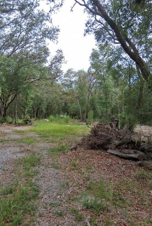 For Sale: $49,995 (1.16 acres)