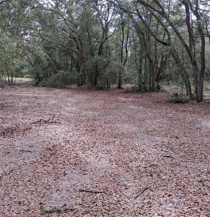 For Sale: $49,995 (1.16 acres)