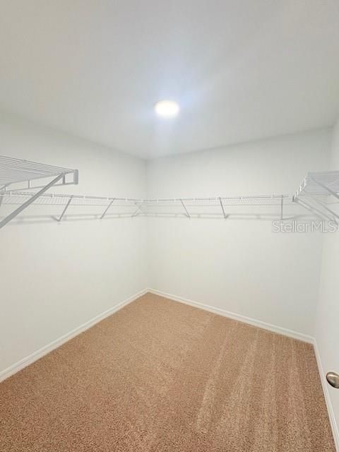 For Rent: $2,350 (3 beds, 2 baths, 1596 Square Feet)