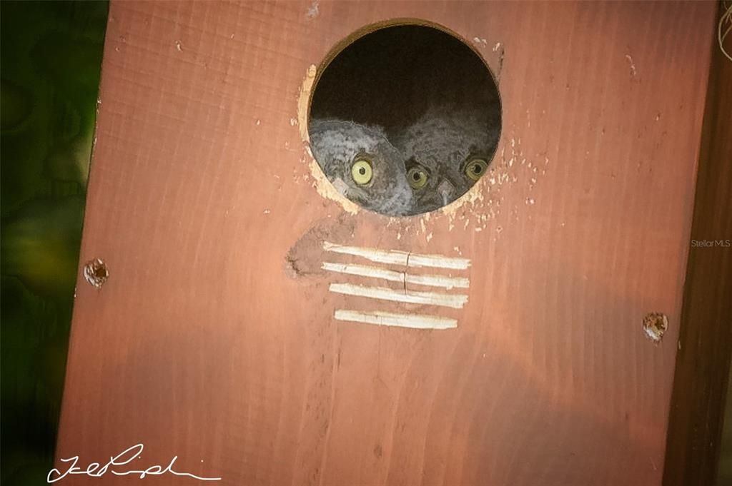 For Sale: $460,000 (3 beds, 2 baths, 1415 Square Feet)