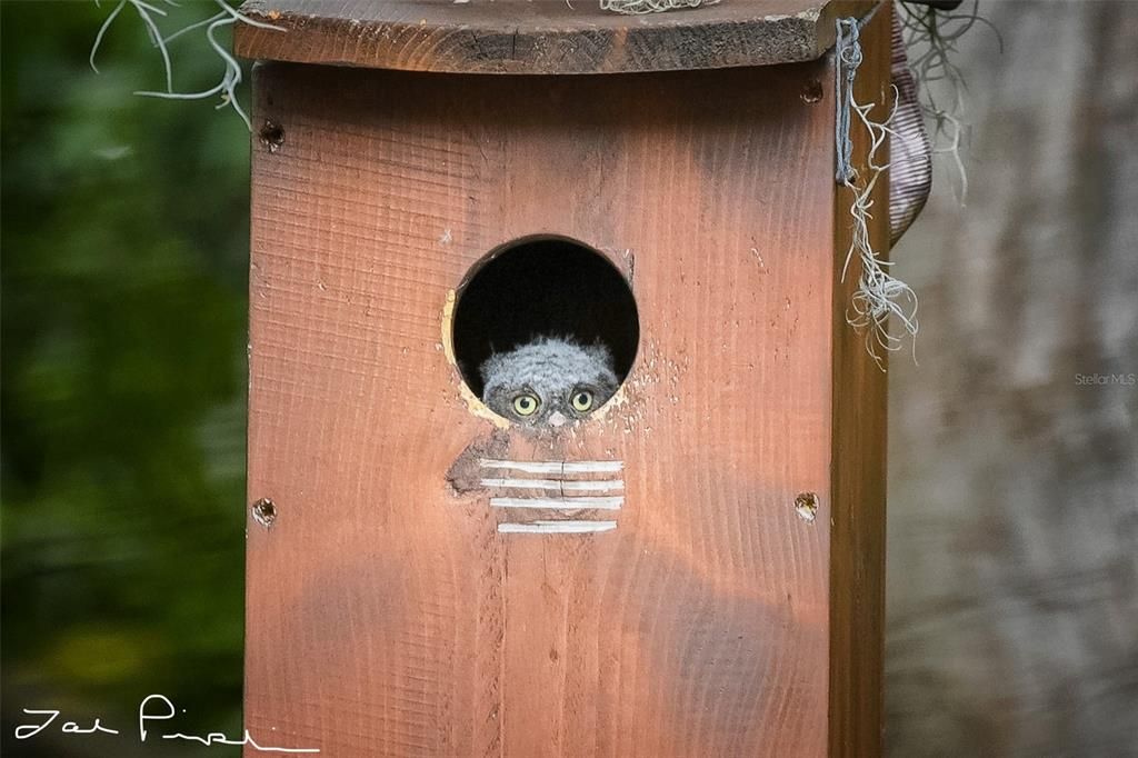 For Sale: $460,000 (3 beds, 2 baths, 1415 Square Feet)