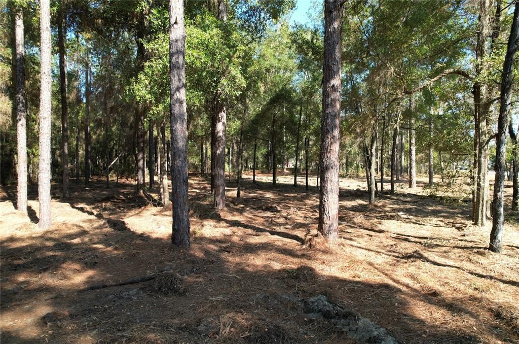 For Sale: $16,995 (0.23 acres)