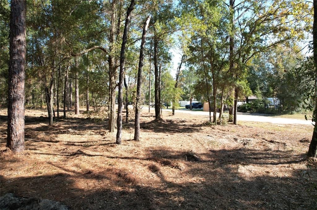 For Sale: $16,995 (0.23 acres)