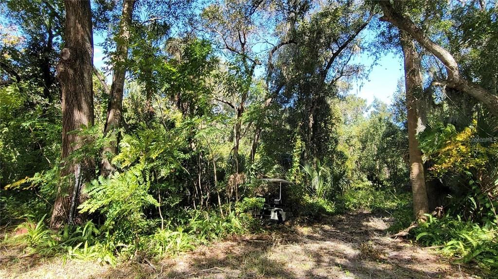 На продажу: $55,000 (0.22 acres)