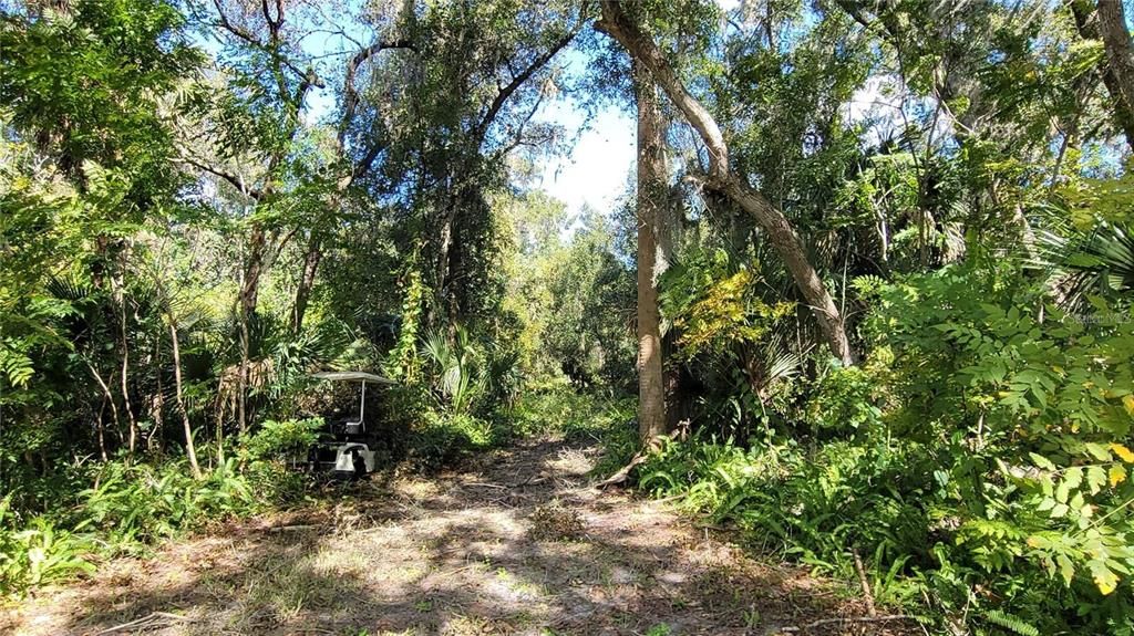 На продажу: $55,000 (0.22 acres)