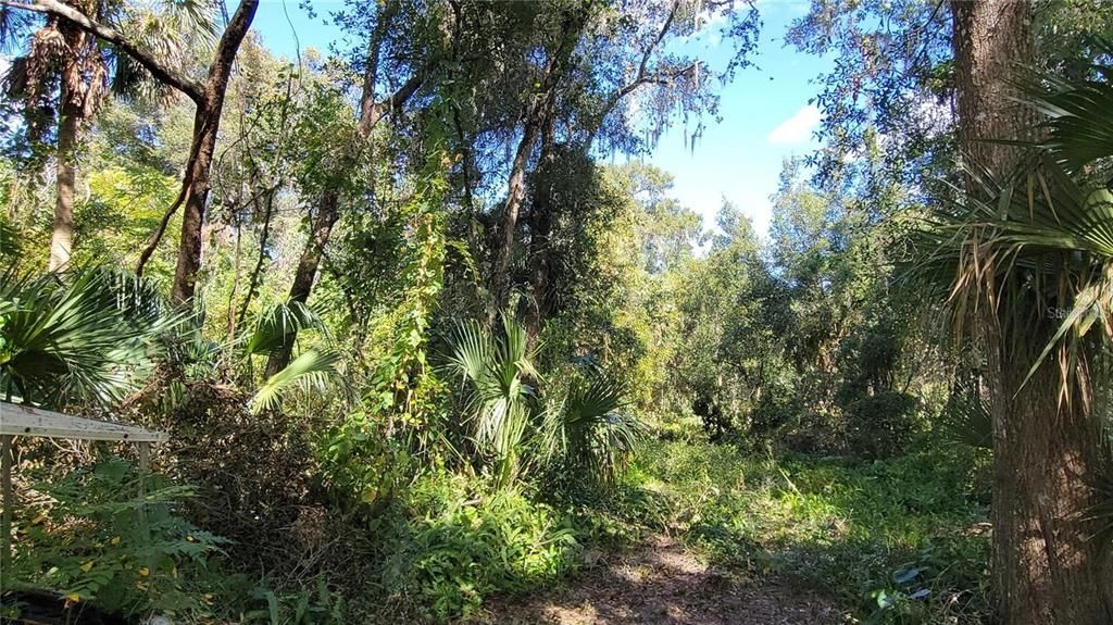 На продажу: $55,000 (0.22 acres)