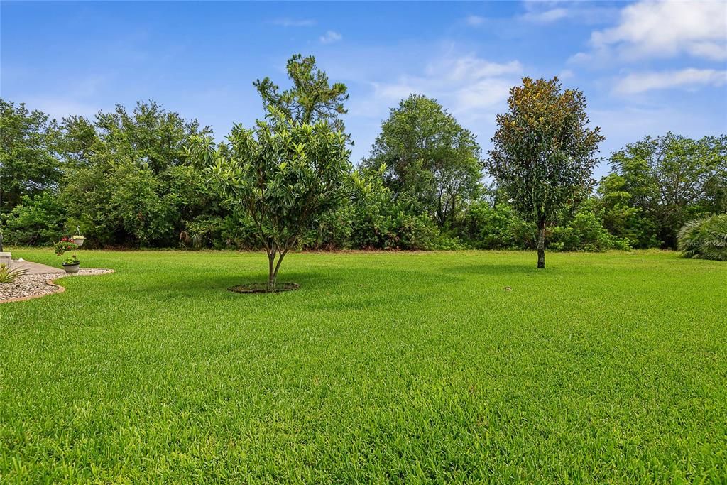 待售: $429,900 (3 贝兹, 2 浴室, 1847 平方英尺)