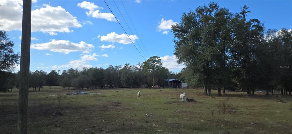 For Sale: $464,900 (10.00 acres)