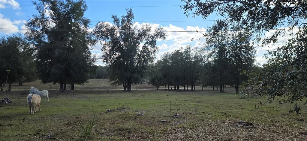 For Sale: $464,900 (10.00 acres)