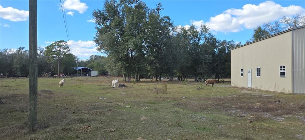 For Sale: $464,900 (10.00 acres)