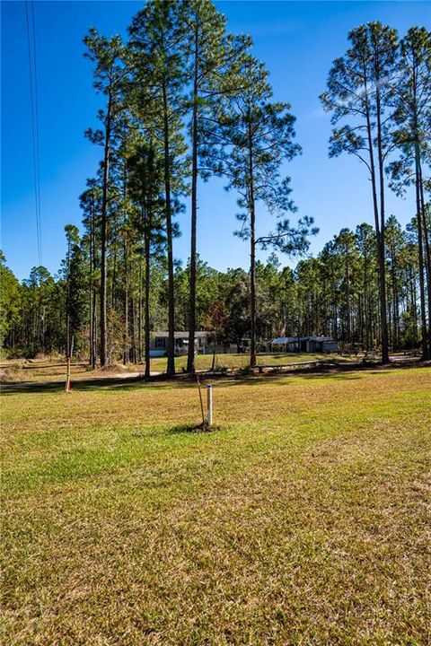 На продажу: $15,000 (1.16 acres)