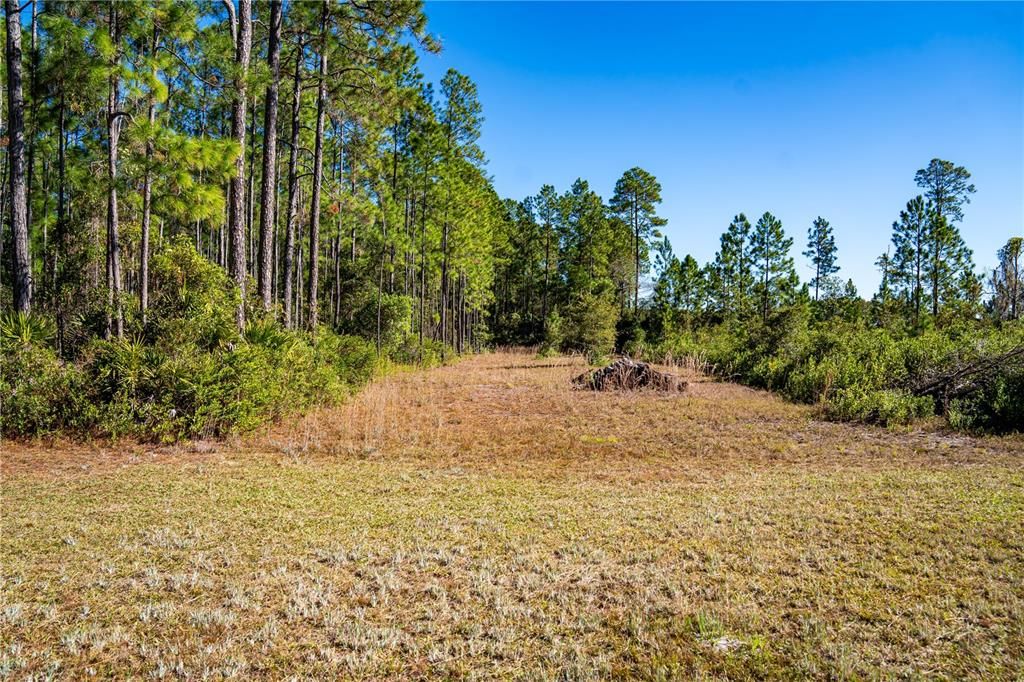 На продажу: $15,000 (1.16 acres)