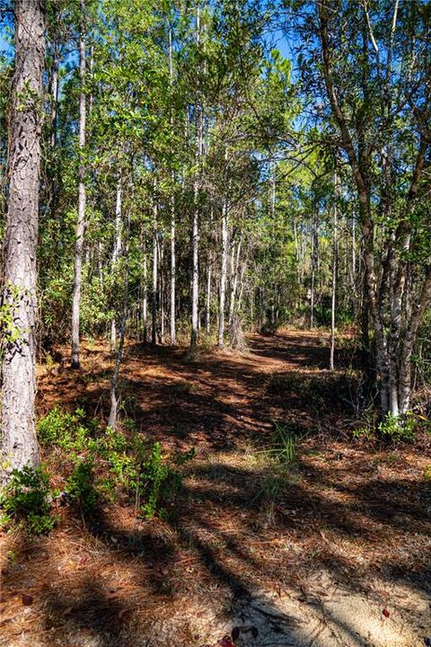 На продажу: $15,000 (1.16 acres)