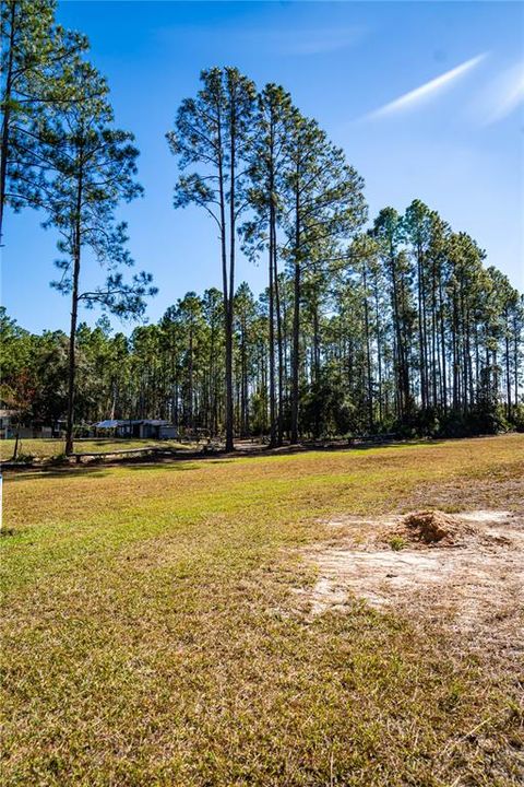 На продажу: $15,000 (1.16 acres)