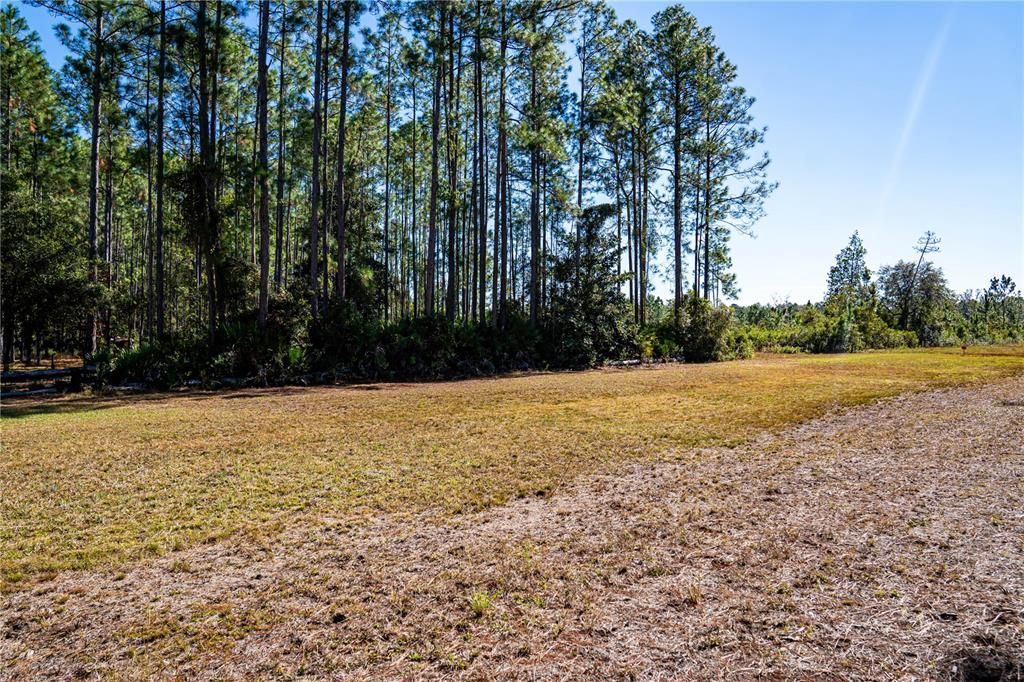 На продажу: $15,000 (1.16 acres)