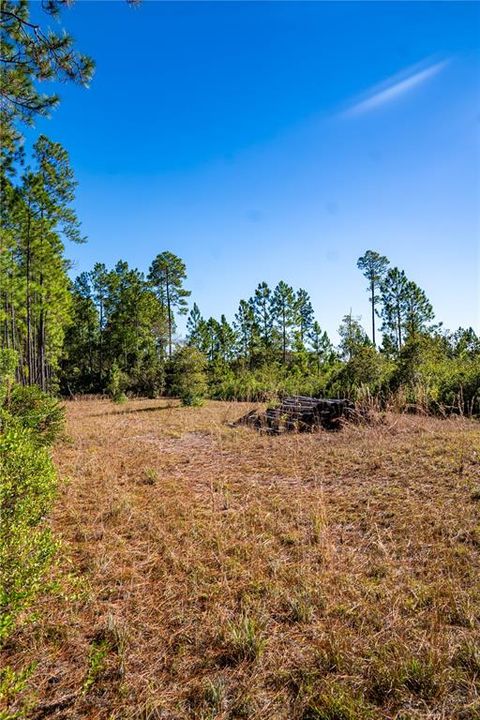 На продажу: $15,000 (1.16 acres)