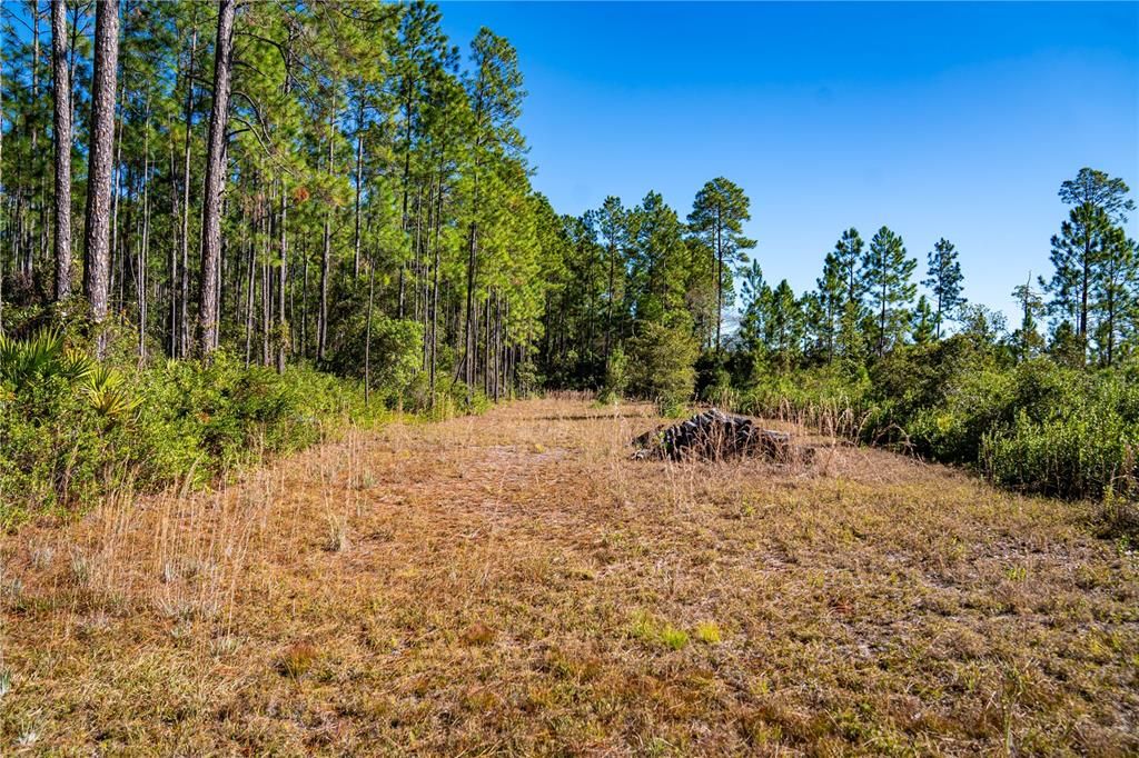 На продажу: $15,000 (1.16 acres)