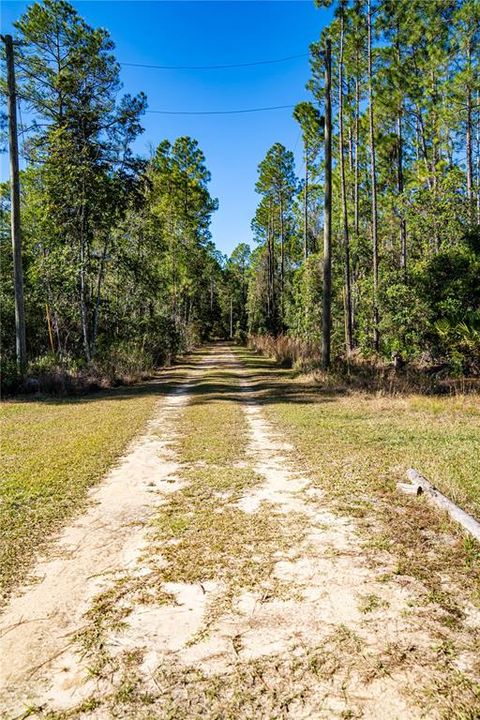 На продажу: $15,000 (1.16 acres)