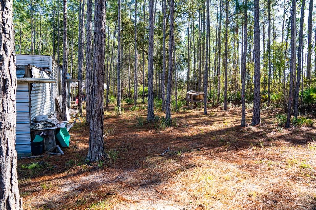 На продажу: $15,000 (1.16 acres)