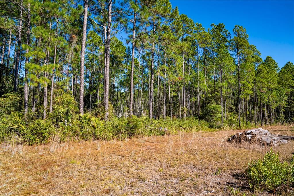 На продажу: $15,000 (1.16 acres)