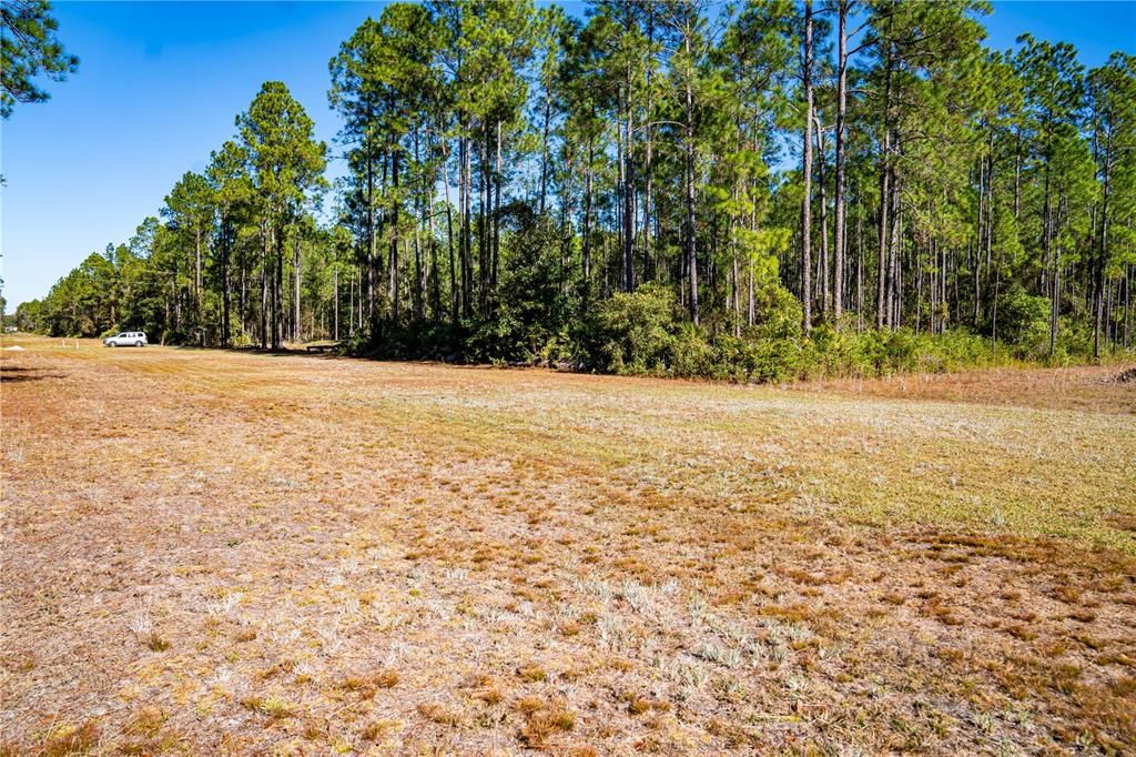 На продажу: $15,000 (1.16 acres)