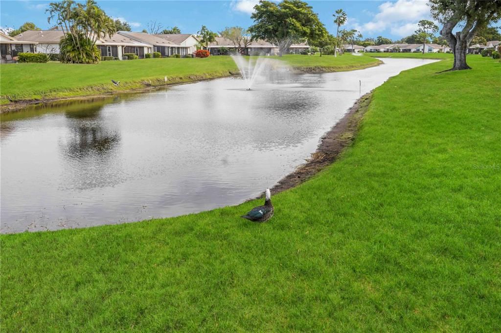 На продажу: $250,000 (2 спален, 2 ванн, 1498 Квадратных фут)