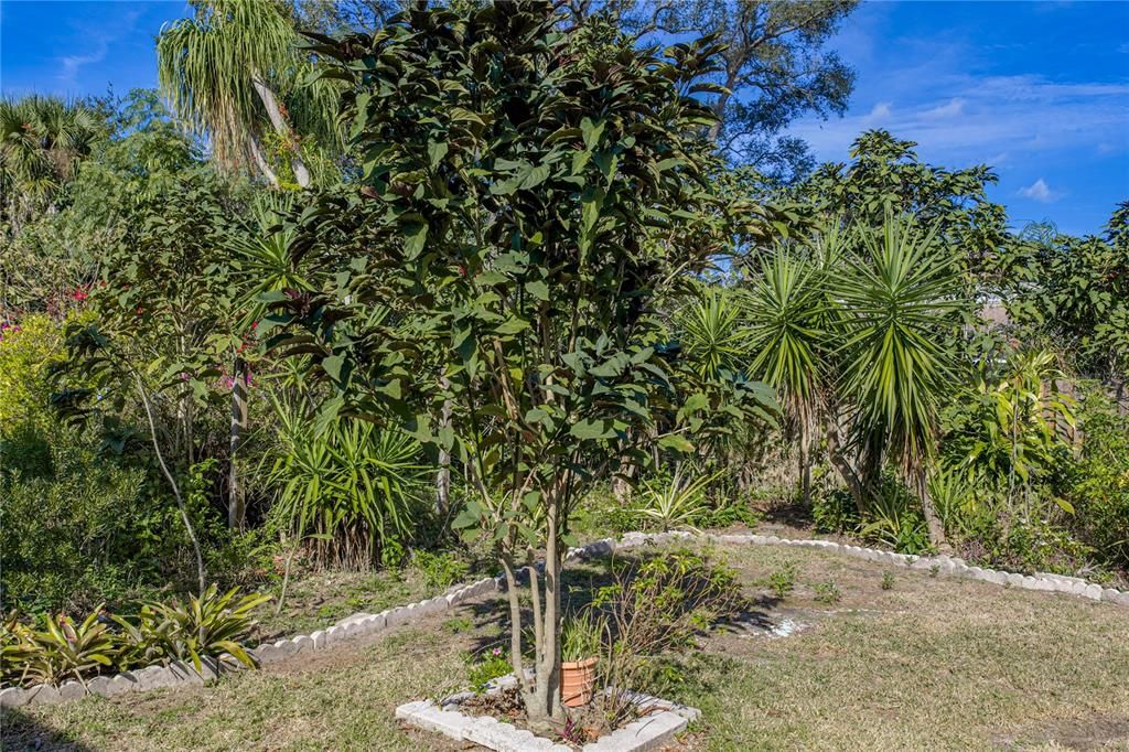 For Sale: $540,000 (4 beds, 2 baths, 2022 Square Feet)