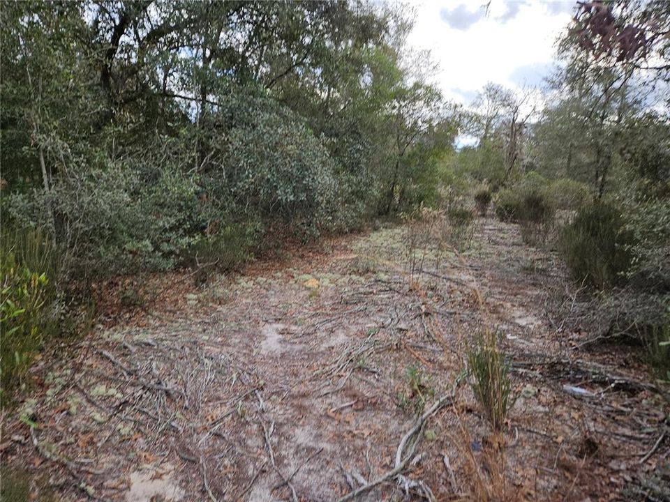 На продажу: $18,000 (1.25 acres)