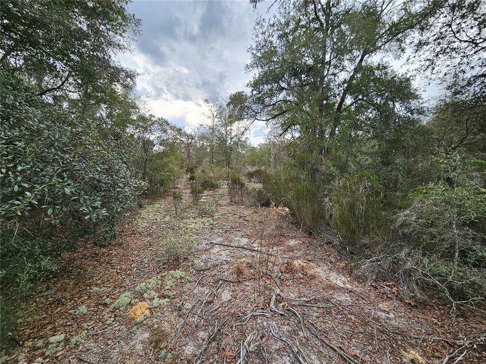 На продажу: $18,000 (1.25 acres)