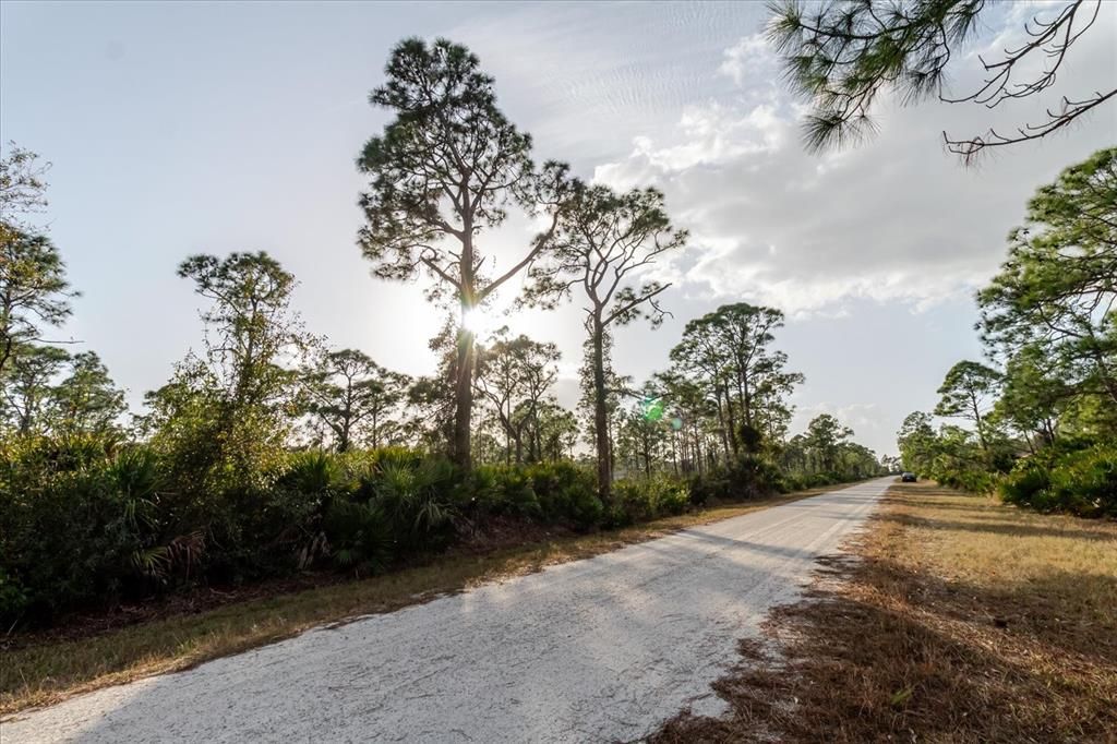 For Sale: $28,900 (0.33 acres)