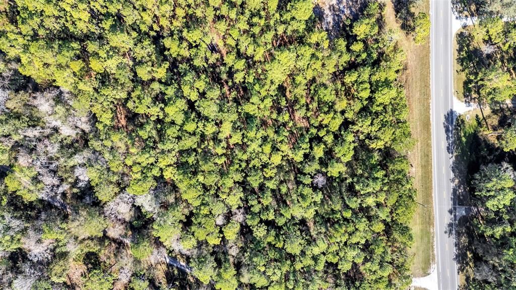 待售: $120,000 (1.30 acres)