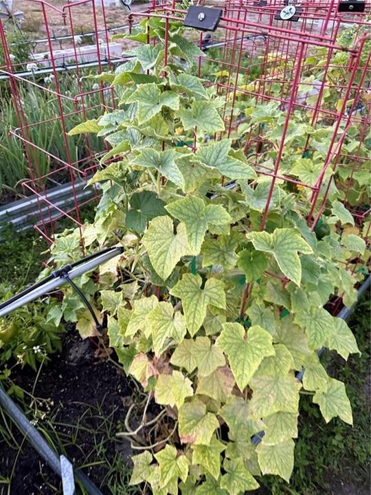 На продажу: $749,900 (4 спален, 4 ванн, 4285 Квадратных фут)