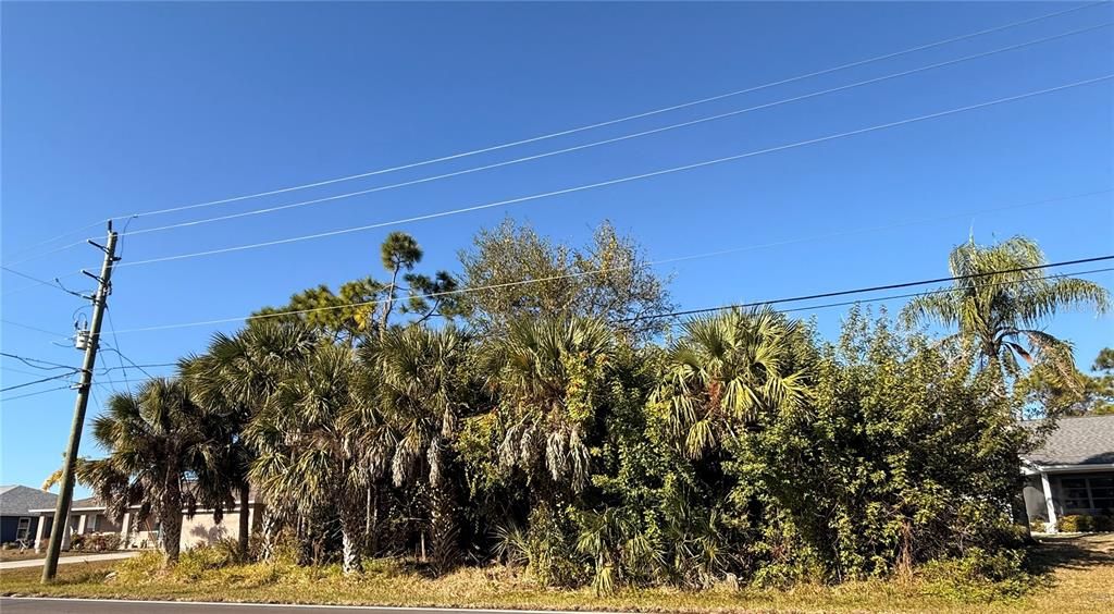 En Venta: $29,900 (0.23 acres)