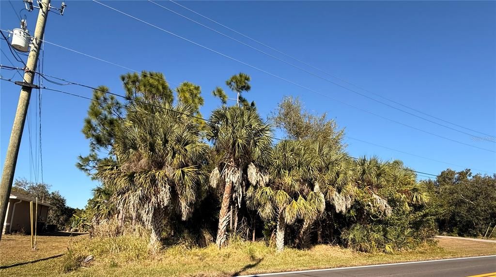 En Venta: $29,900 (0.23 acres)