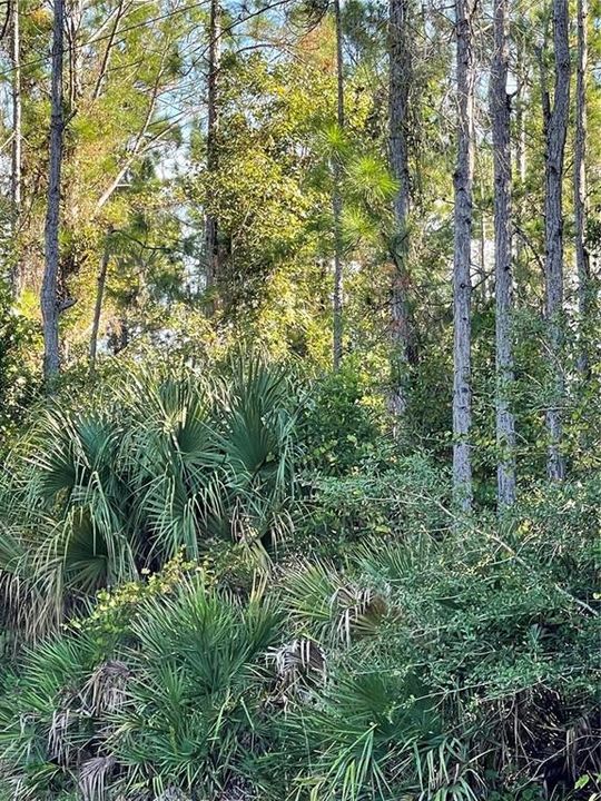 待售: $250,000 (50.00 acres)