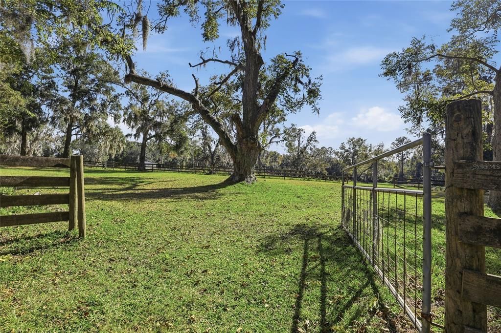 待售: $920,000 (3 贝兹, 2 浴室, 2136 平方英尺)