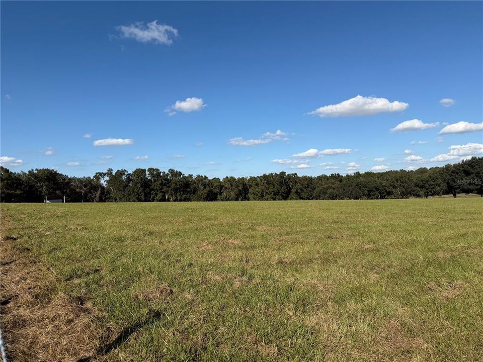 待售: $920,000 (3 贝兹, 2 浴室, 2136 平方英尺)