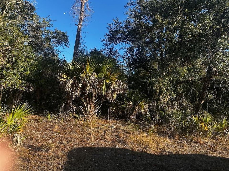 En Venta: $19,499 (0.23 acres)