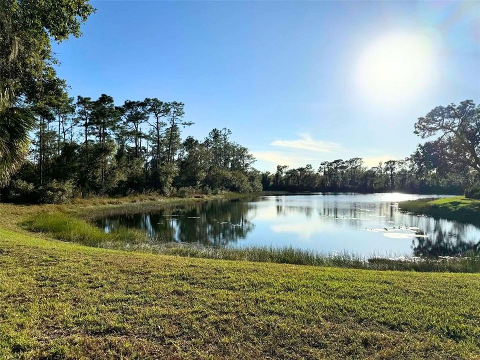 En Venta: $769,000 (4 camas, 3 baños, 3789 Pies cuadrados)