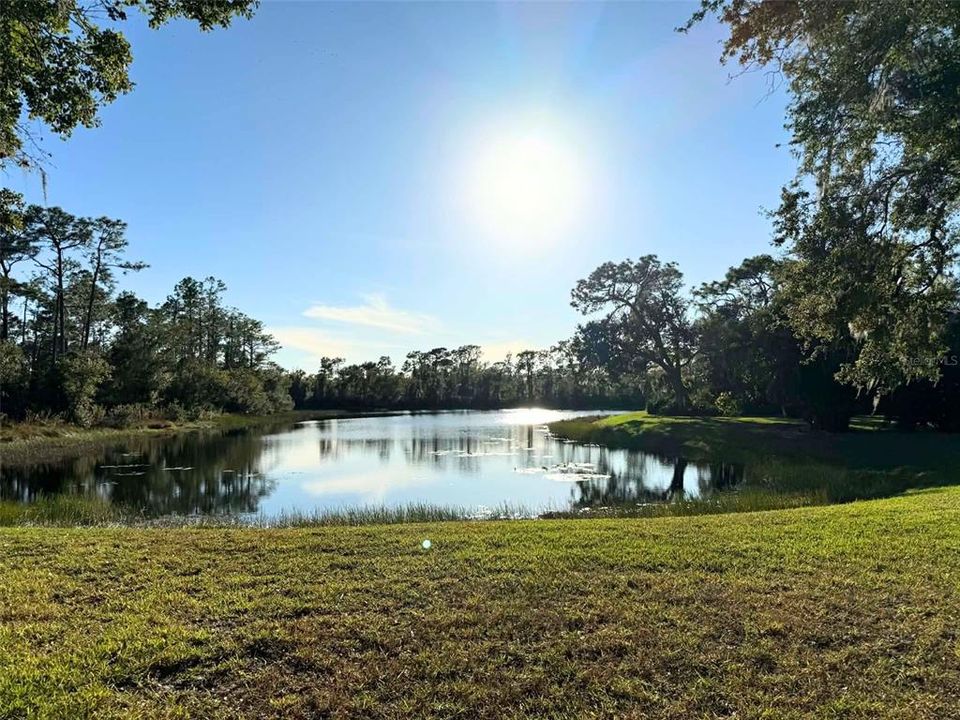 En Venta: $769,000 (4 camas, 3 baños, 3789 Pies cuadrados)