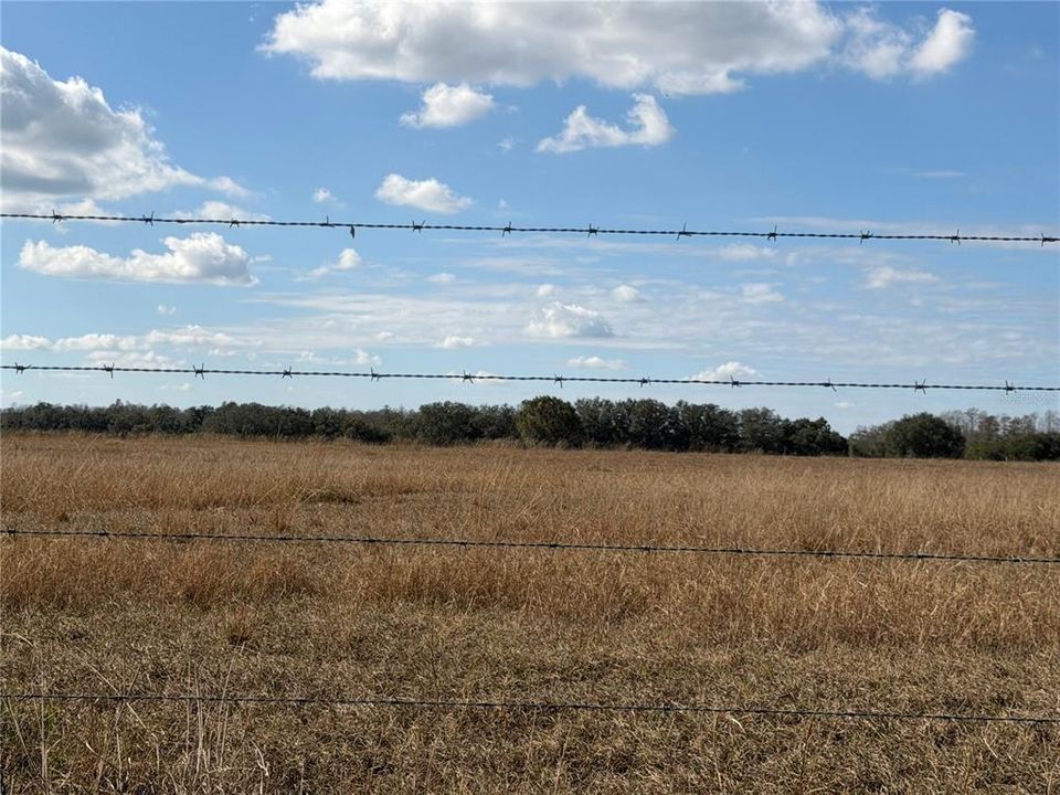 For Sale: $550,000 (17.23 acres)