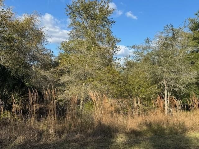 For Sale: $35,000 (0.24 acres)