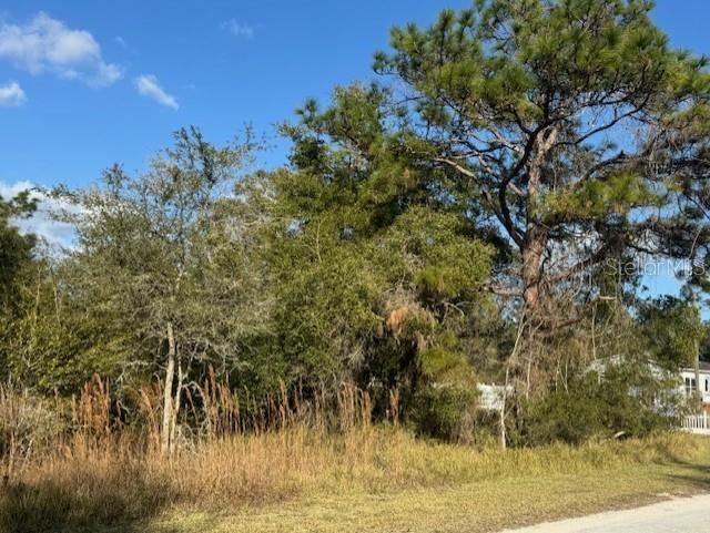 For Sale: $35,000 (0.24 acres)