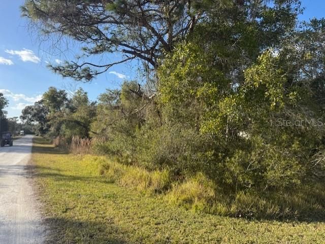 For Sale: $35,000 (0.24 acres)