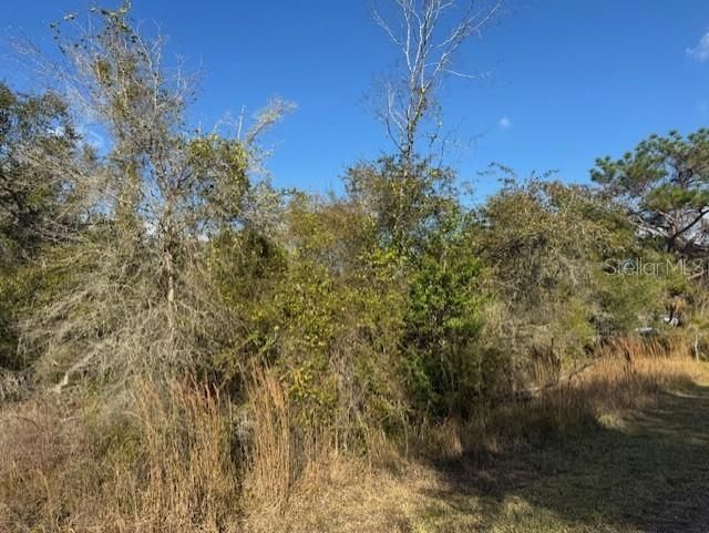 For Sale: $35,000 (0.24 acres)